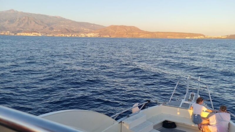 Los Cristianos: Eco Yacht Whale Watching Tour at Sunset - Practical Details: Timing, Group Size, and Accessibility