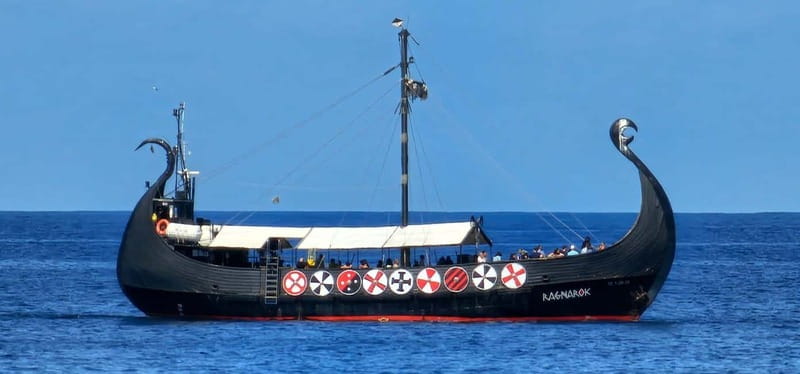 Los Cristianos: Whale Watching Cruise w/Swim Stop & Drinks - Comparing This Tour to Similar Experiences