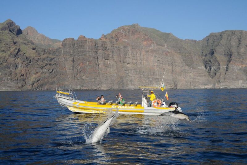 Los Gigantes: Dolphin and Whale Watching Cruise by Speedboat - Swimming Stops at Pristine Bays: Masca, Barranco Seco, and Juan López