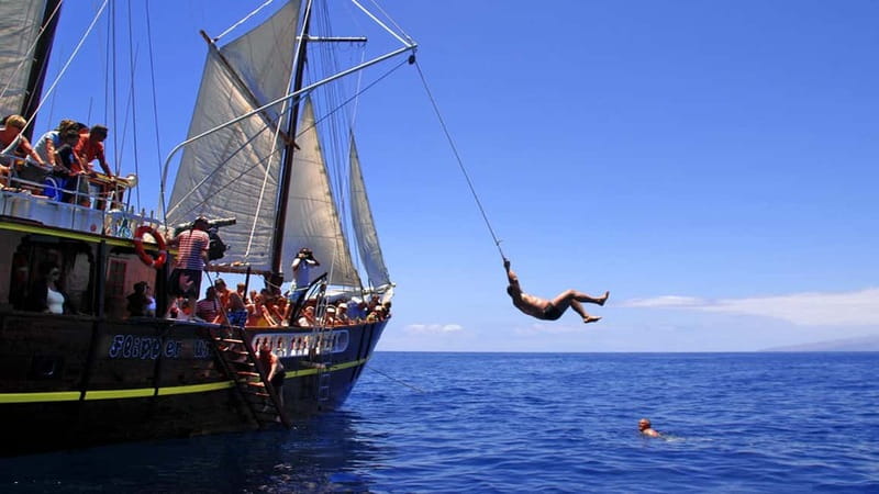 Los Gigantes: Dolphin & Whale Watching Tour on a Pirate Boat - Practical Tips for a Smooth Trip