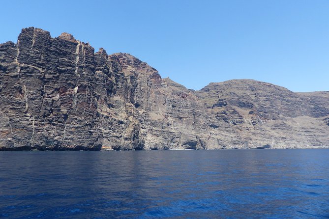 Los Gigantes Whale Watching Charter by Sail Boat - Food, Drinks, and Snacks on Board
