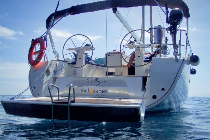 Los Gigantes Whale Watching Charter by Sail Boat - The Crew and Guide Expertise