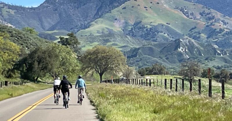 Los Olivos: E-Bike Tour + Vineyard Lunch w/Wine Tasting - Explore Santa Barbara Wine Country on an E-Bike Tour with Vineyard Lunch