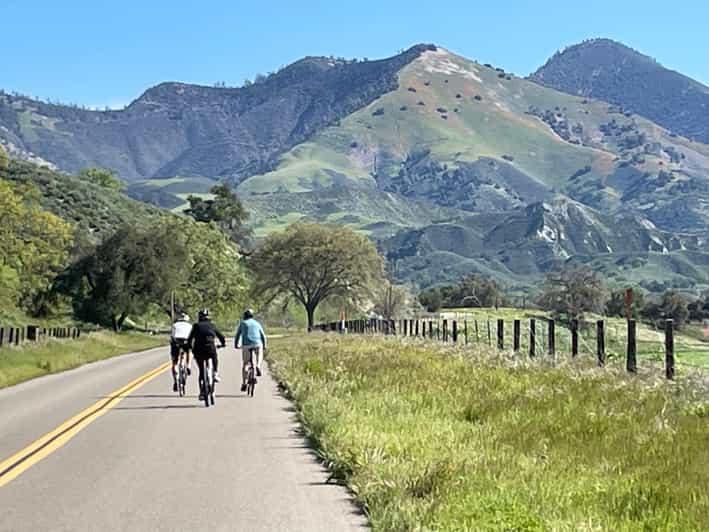 Los Olivos: E-Bike Tour + Vineyard Lunch w/Wine Tasting - Key Points