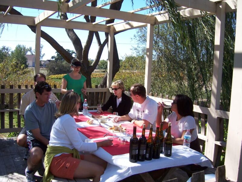 Los Olivos: E-Bike Tour + Vineyard Lunch w/Wine Tasting - Riding Through Santa Ynez’s Picturesque Landscapes