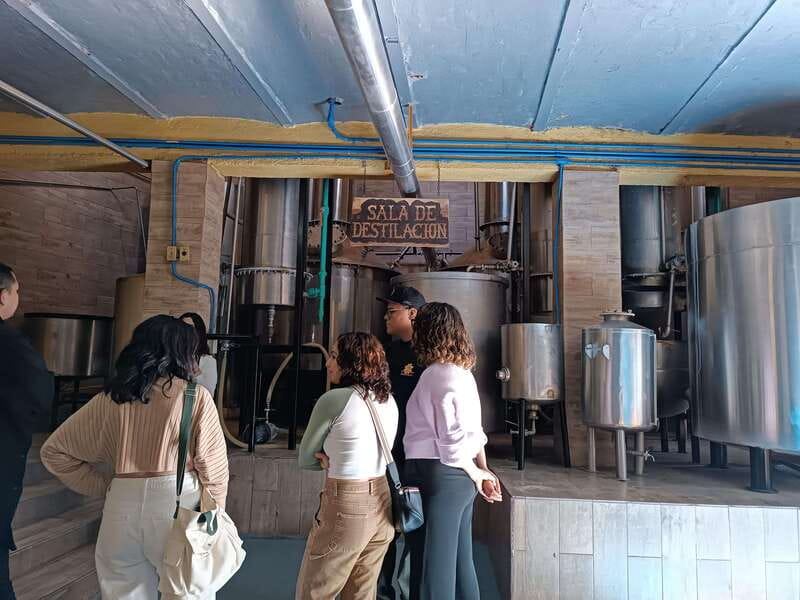 Lots of party: Have fun at "La Aguirreña" factory - Inside La Aguirreña: Learning the Tequila-Making Process