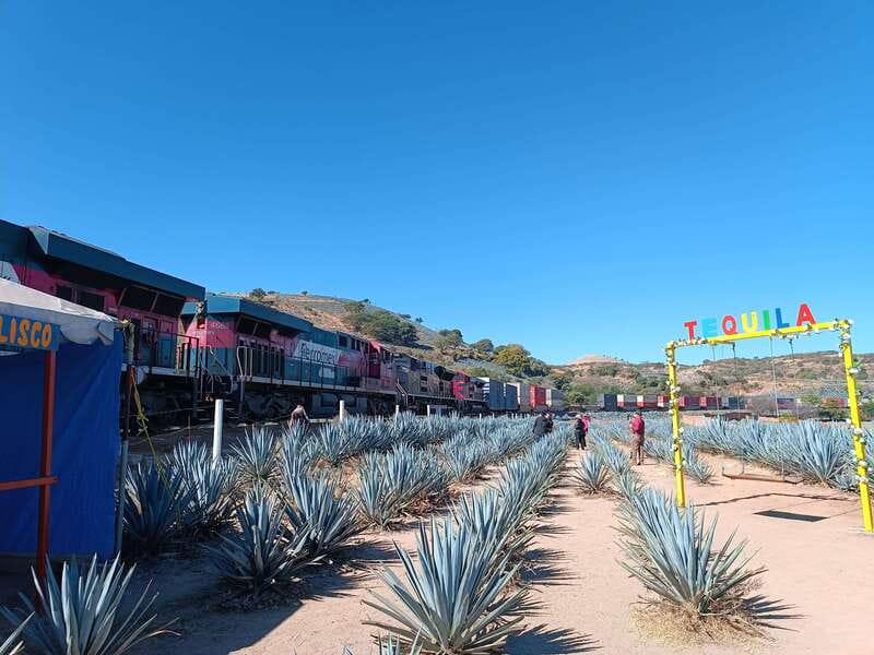 Lots of party: Have fun at "La Aguirreña" factory - Returning to Town with a Party Vibe