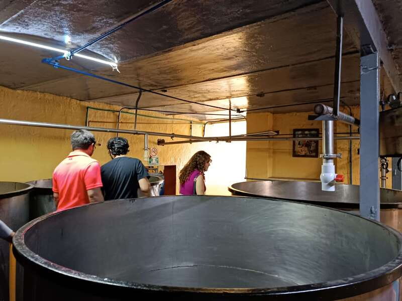 Lots of party: Have fun at "La Aguirreña" factory - Who Will Love This Tour