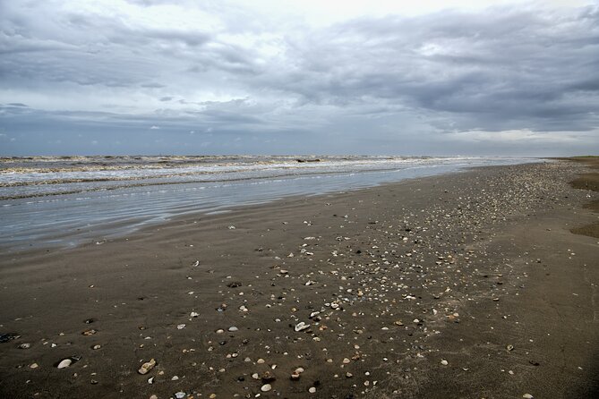 Louisiana Creole Nature Trail Self-Guided Audio Driving Tour - Explore Louisiana’s Coast with the Creole Nature Trail Self-Guided Audio Tour
