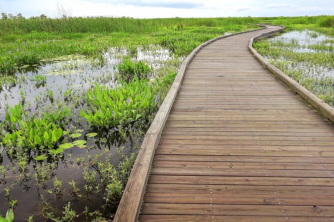 Louisiana Creole Nature Trail Self-Guided Audio Driving Tour - Key Points