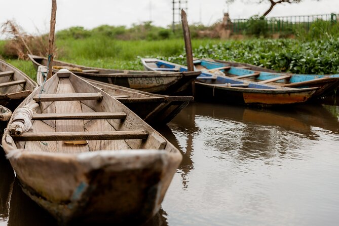 Louisiana Creole Nature Trail Self-Guided Audio Driving Tour - Birdwatching and Wildlife at Lacassine National Wildlife Refuge