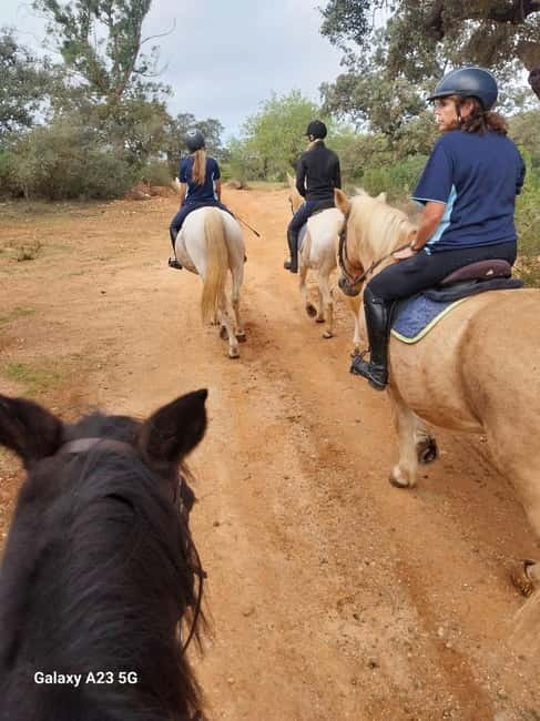 Loulé: Guided Horse Riding in the Hills of salir - Key Points