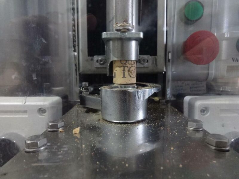 Loulé: Quinta da Tôr Winery Guided Tour and Wine Tasting - Wine Tasting: 4 Local Wines Paired with Regional Flavors