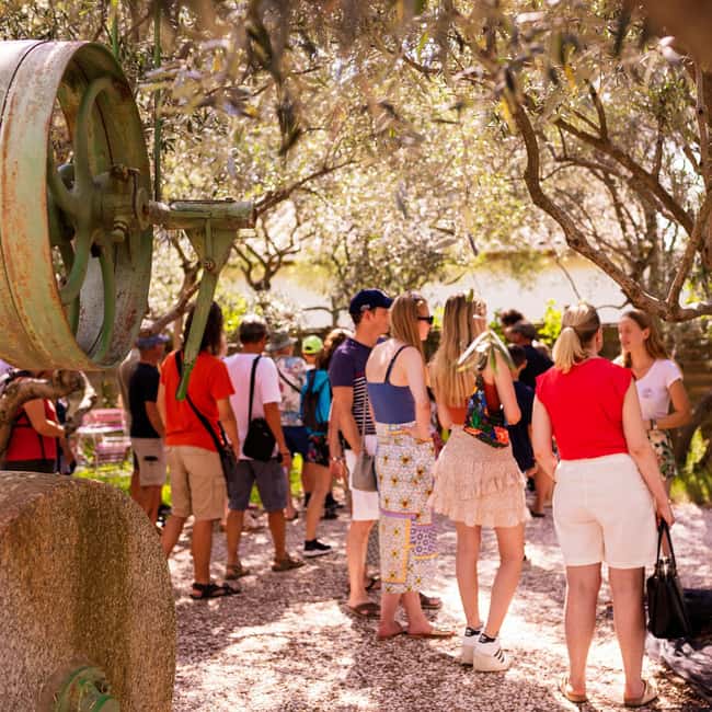 L'Oulibo oil mill: Guided tour - Discover the Olive Tree World at LOulibo Oil Mill