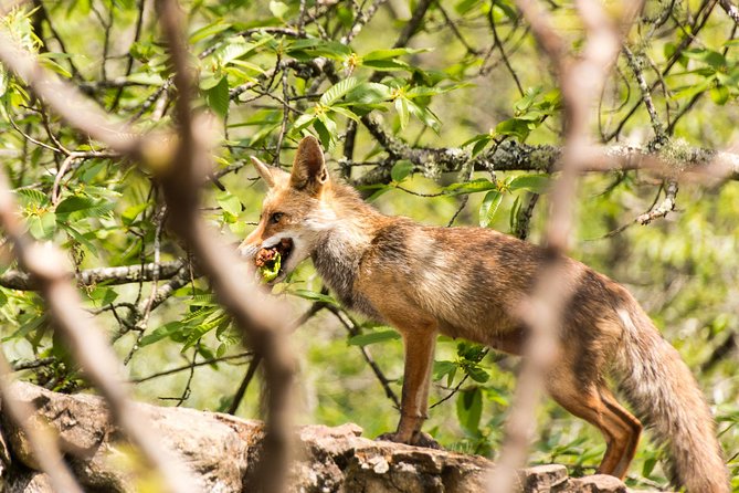 Lousa Mountain Private Tour - Exploring Abandoned Villages: Cadaval Cimeiro and Fundeiro
