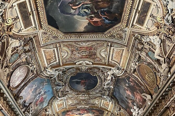 Louvre Museum Entrance Ticket - Common Challenges and Considerations from Reviews