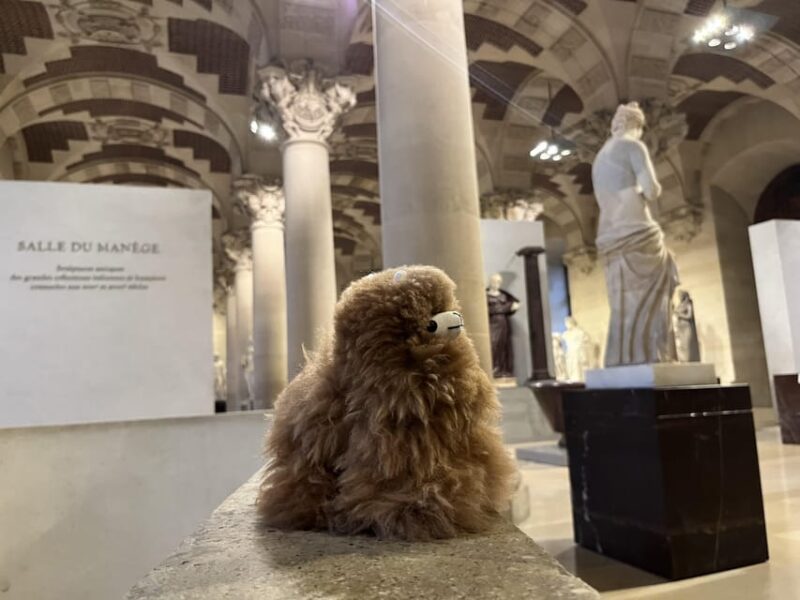 Louvre Museum Entry Ticket and Private Guided Tour - Navigating the Extensive Louvre Collection Efficiently