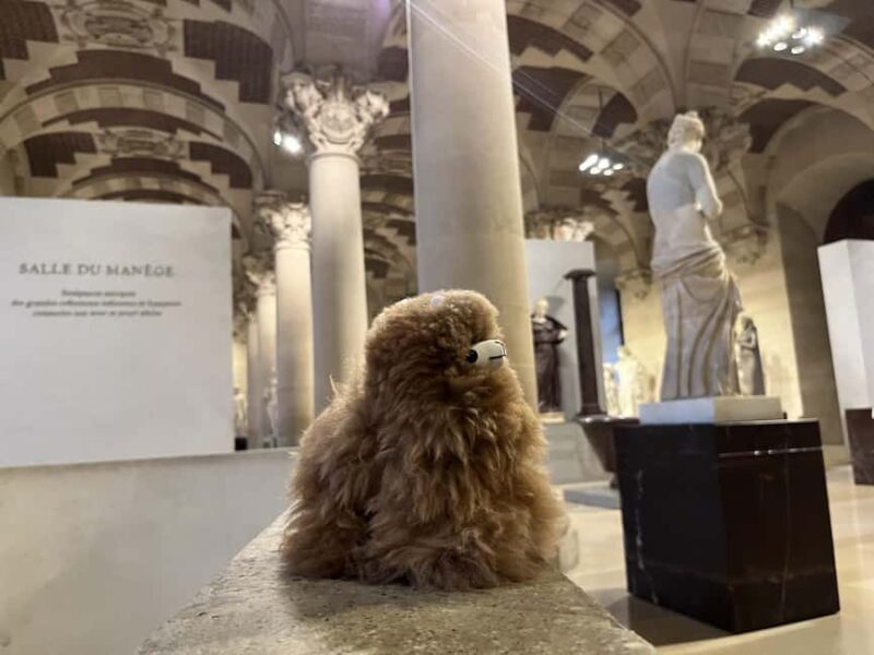 Louvre Museum Entry Ticket and Private Guided Tour - Accessibility, Safety, and Practical Tips