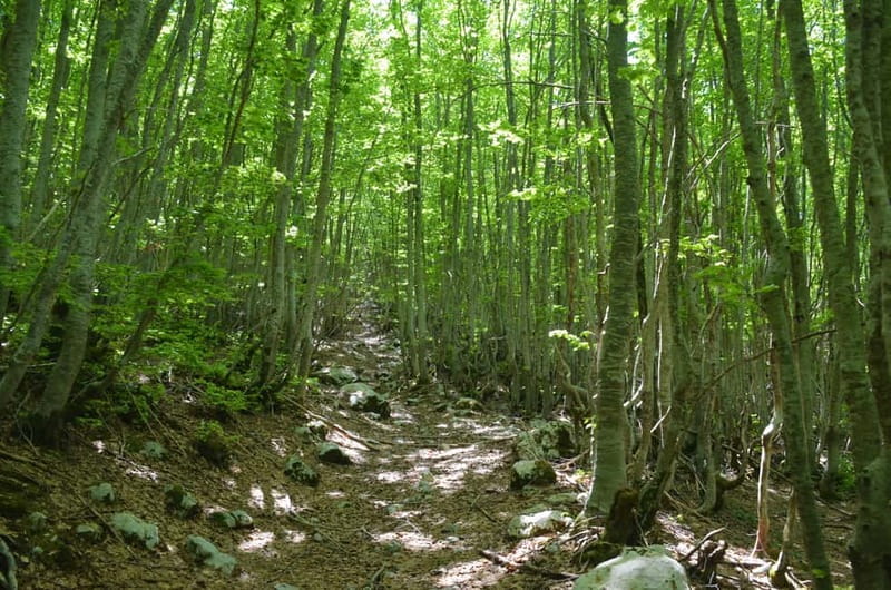 Loven Hiking Private Tour - From Ivanova Korita to the Summit with Panoramic Bay Views