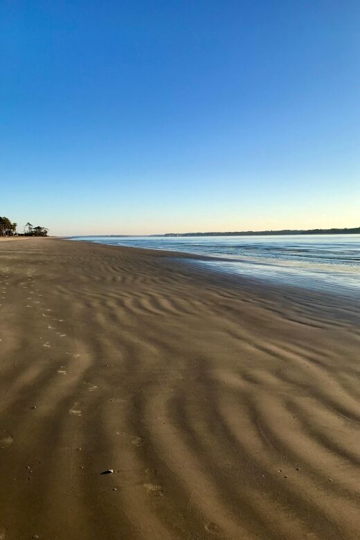 Lowcountry Boil Sunset Cruise - The Crew and Service Experience
