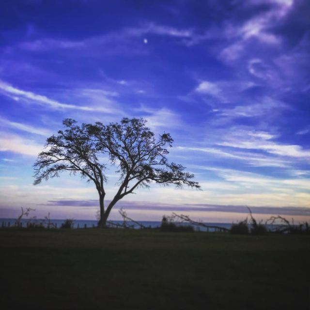 Lowcountry Boil Sunset Cruise - Suitability and Considerations for Travelers