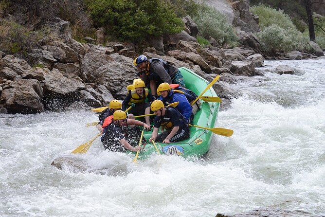 Lower Browns Canyon Mildwater Float Trip - What Makes This Float Suitable for Families and Newcomers