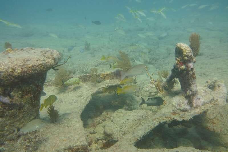 Lower Grand Lagoon: Panama City Beach Guided Snorkeling Tour - Who Should Consider This Tour?
