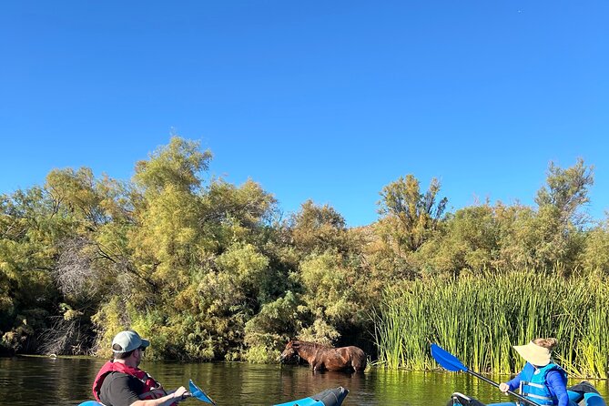 Lower Salt River Guided Kayak Tours - Physical Requirements and Accessibility