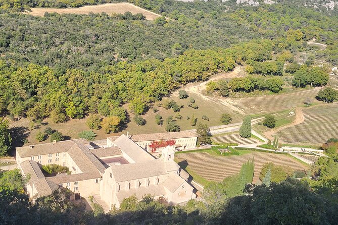 Luberon and its perched villages - Why Choose This Tour?