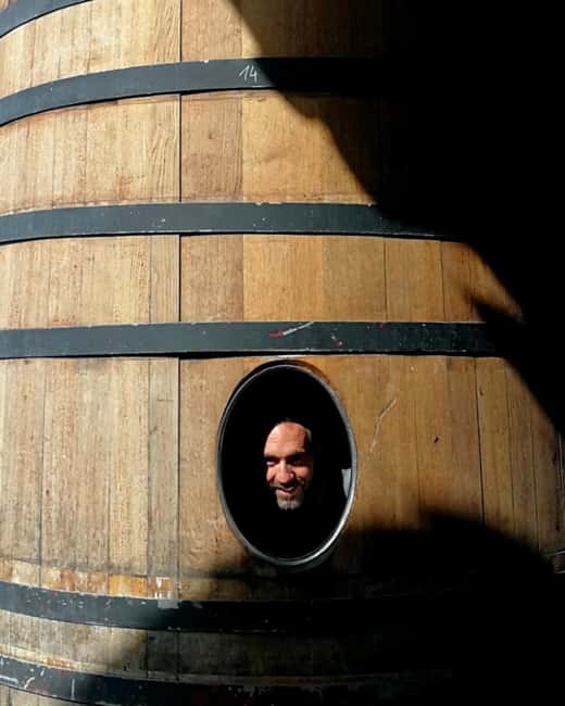Luberon: cellar tour and wine tasting with commentary by an oenologist - Key Points
