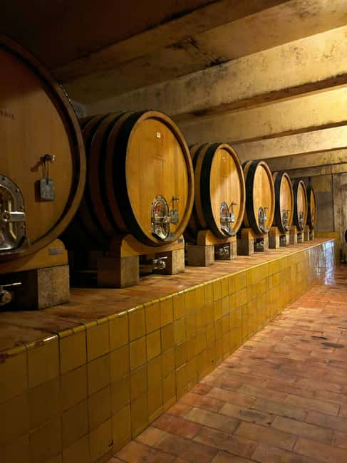 Luberon: Full-Day Wine Tour from Marseille - Key Points