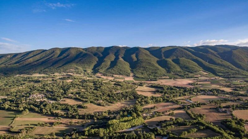 Luberon: Full-Day Wine Tour from Marseille - Scenic Drive and Learning About French Winemaking
