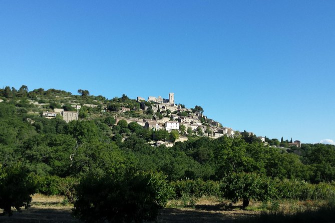 Luberon, Roussillon & Gordes Half-Day Tour from Avignon - Discovering the Abbey of Sénanque in Bloom or on a Photo Stop