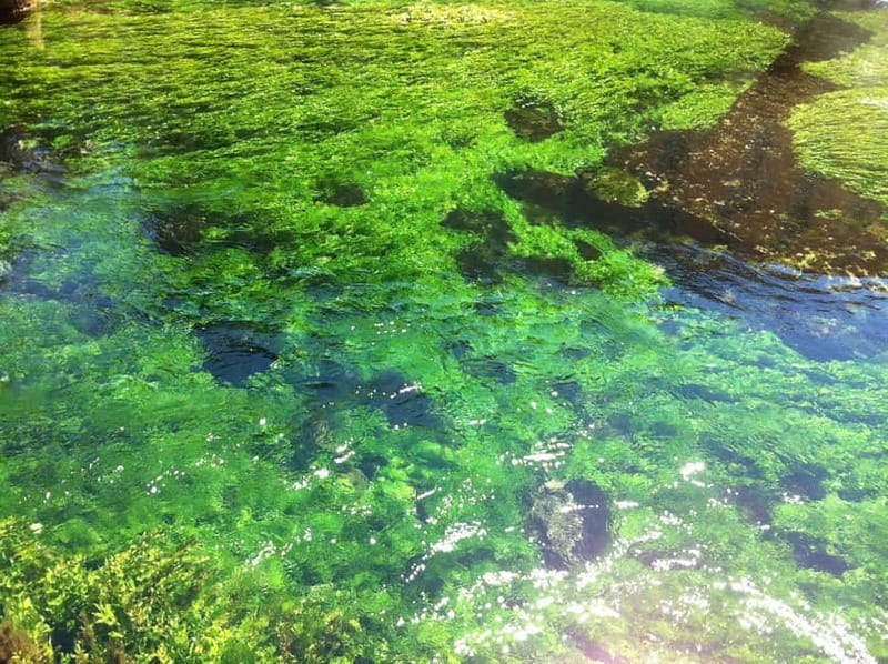 Luberon villages Full-day tour from Aix-en-Provence - The Spectacular Viewpoints of Gordes