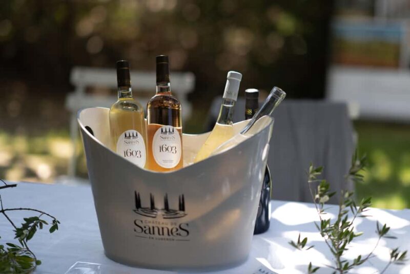 Luberon: Vineyard Tour and Wine Tasting - Key Points