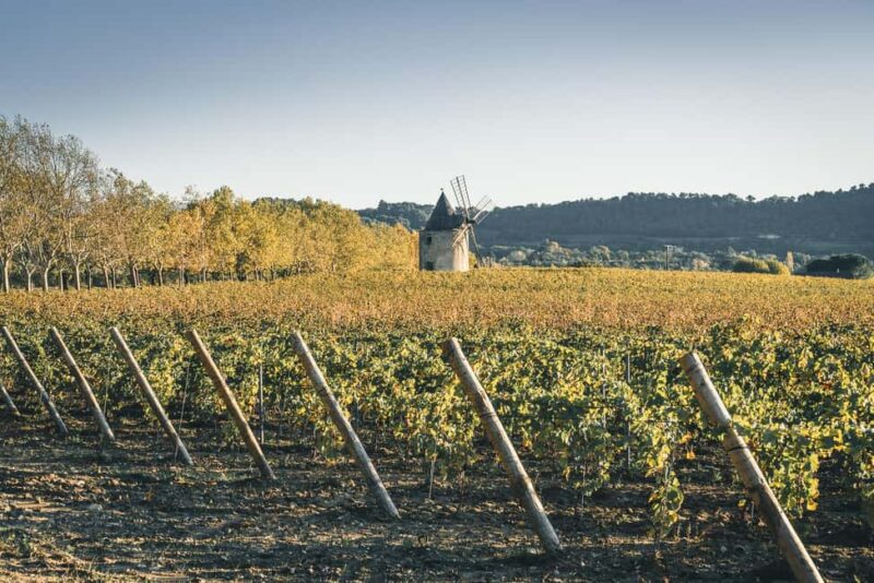 Luberon: Vineyard Tour and Wine Tasting - Exploring the Vineyard’s Eco-Friendly Practices