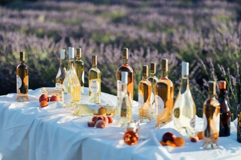 Luberon: Vineyard Tour and Wine Tasting - Visiting the Vineyards Around Château de Sannes