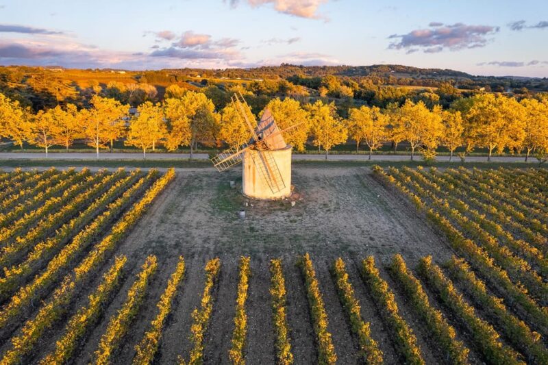 Luberon: Vineyard Tour and Wine Tasting - Practical Details and Tour Logistics