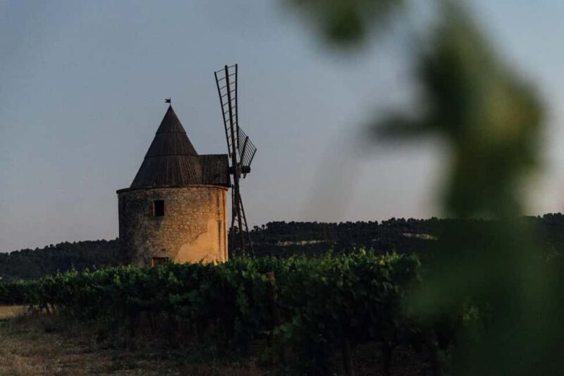Luberon: Vineyard Tour and Wine Tasting - Value for Money and Overall Experience