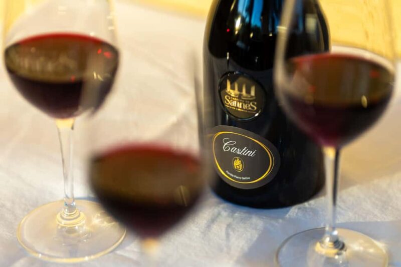 Luberon: visite de la Vigne au Verre et dégustations - Walking through the Vineyard and Understanding the Vine Cycle