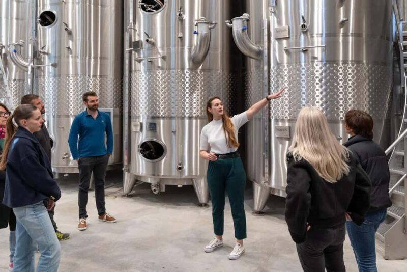 Luberon: visite de la Vigne au Verre et dégustations - Who Will Appreciate This Tour Most?