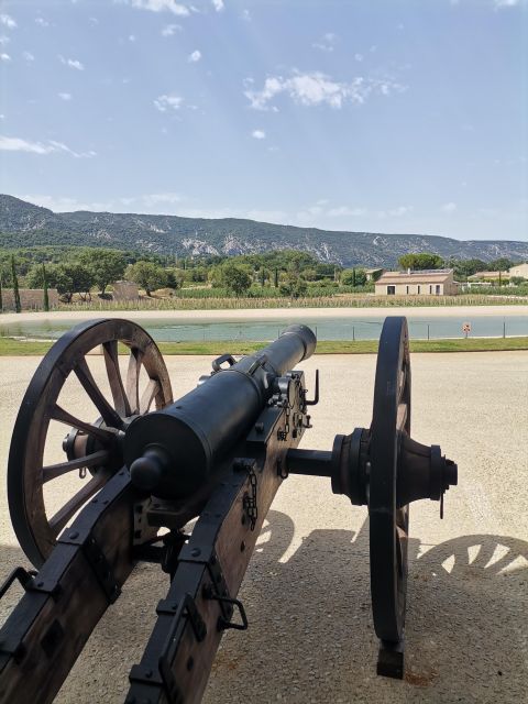 Luberon Wine and Charm: Explore the Flavors of the South - Wine Tasting Highlights at Iconic Local Vineyards