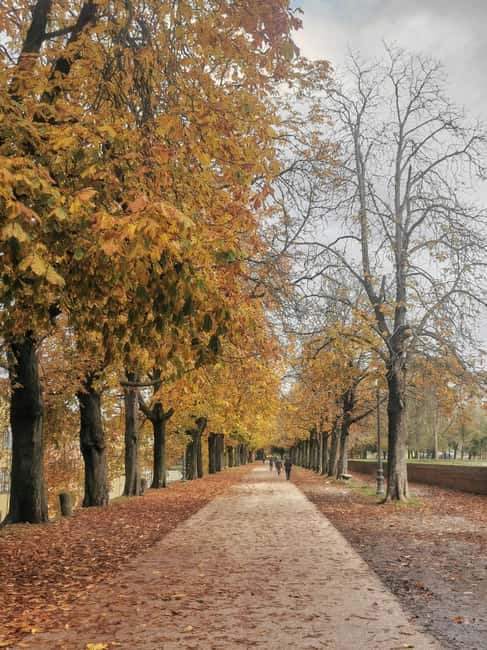 Lucca and Pisa: 1-day tour in Portuguese, with food and sightseeing. - Route Planning and Time Management