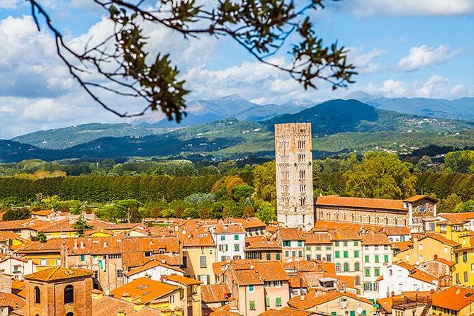 Lucca and Pisa Day Tour from Rome - Flexibility and Self-Guided Freedom in Pisa