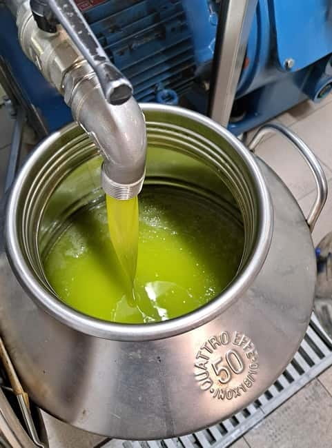 Lucca: Azienda Agricola San Pietro Winery Tour with Tasting - Inside the Cellar: Winemaking with Respect for Nature