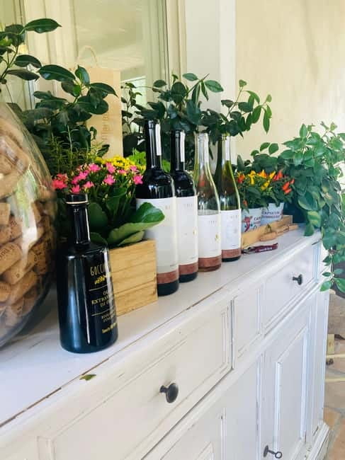 Lucca - Natural wine tasting at Tenuta Mareli - Explore Lucca’s Organic and Biodynamic Wines at Tenuta Mareli