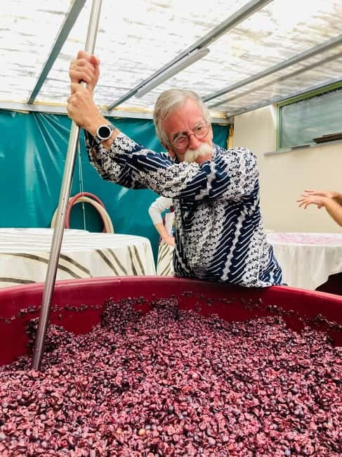 Lucca - Natural wine tasting at Tenuta Mareli - Key Points