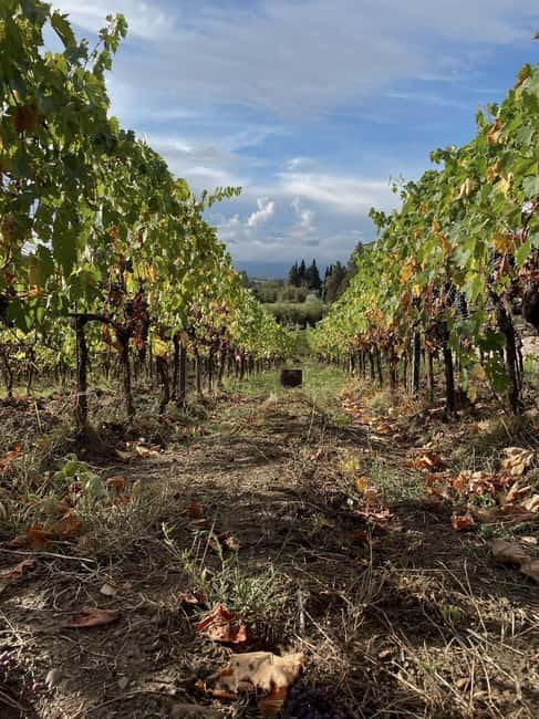 Lucca - Natural wine tasting at Tenuta Mareli - Frequently Asked Questions