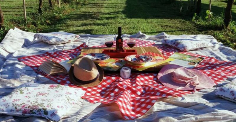 Lucca: Picnic Lunch at a Vineyard by Bike - Discovering Luccas Countryside by Bike