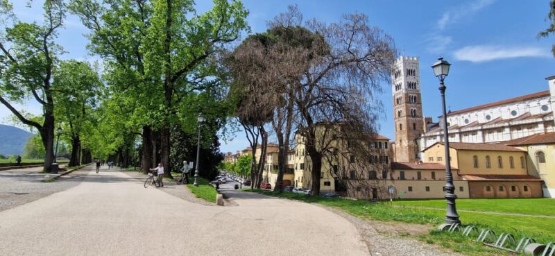 Lucca: private visit of S. Martino, S. Frediano, city center - Explore Lucca’s Historic Center with a Private Guide